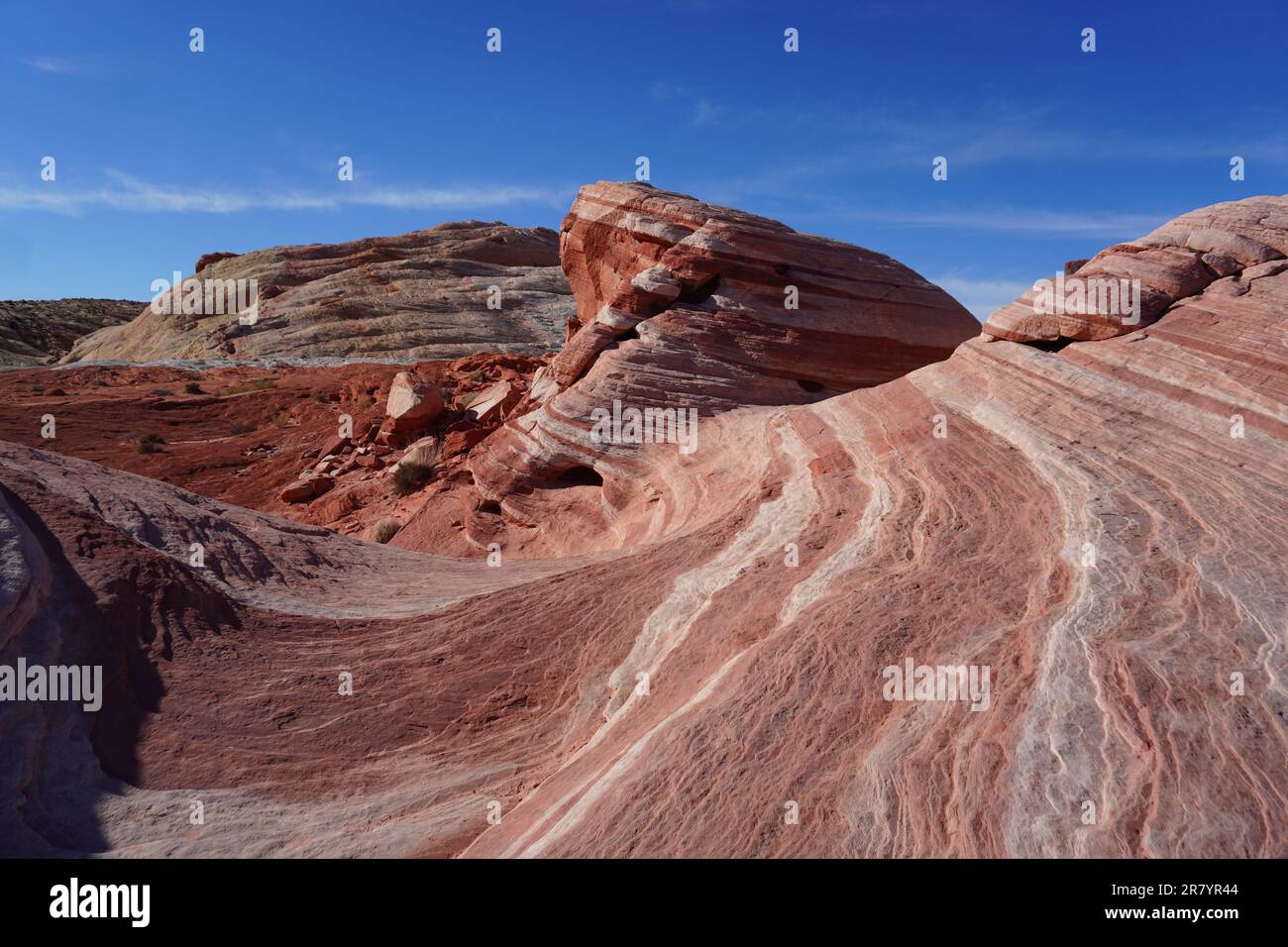 Il Valley of Fire state Park sotto la luce del sole e un cielo blu nella contea di Clark, Nevada Foto Stock