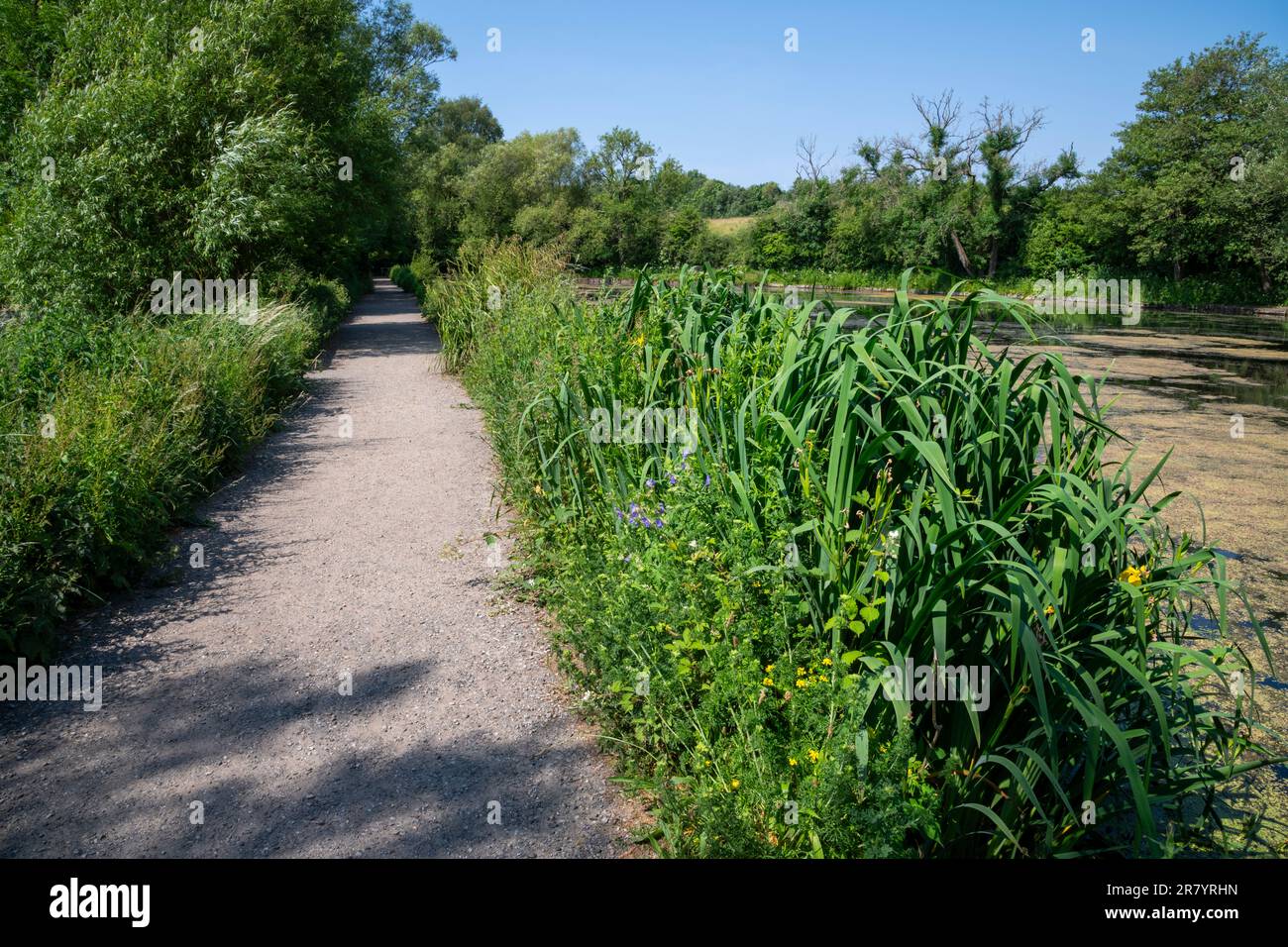 Red Dish vale Country Park, Stockport, Greater Manchester, Inghilterra. Foto Stock