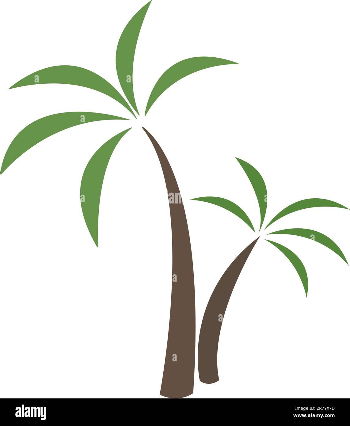 Immagine grafica vettoriale di due palme. Illustrazione Vettoriale