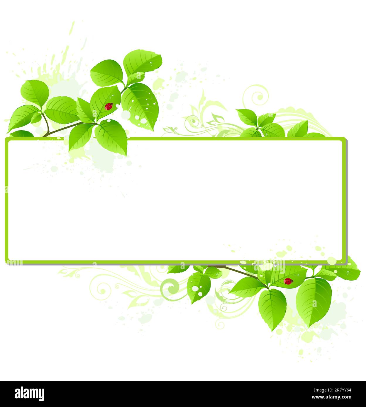 Vettore verde banner con foglie e ornamenti floreali Illustrazione Vettoriale
