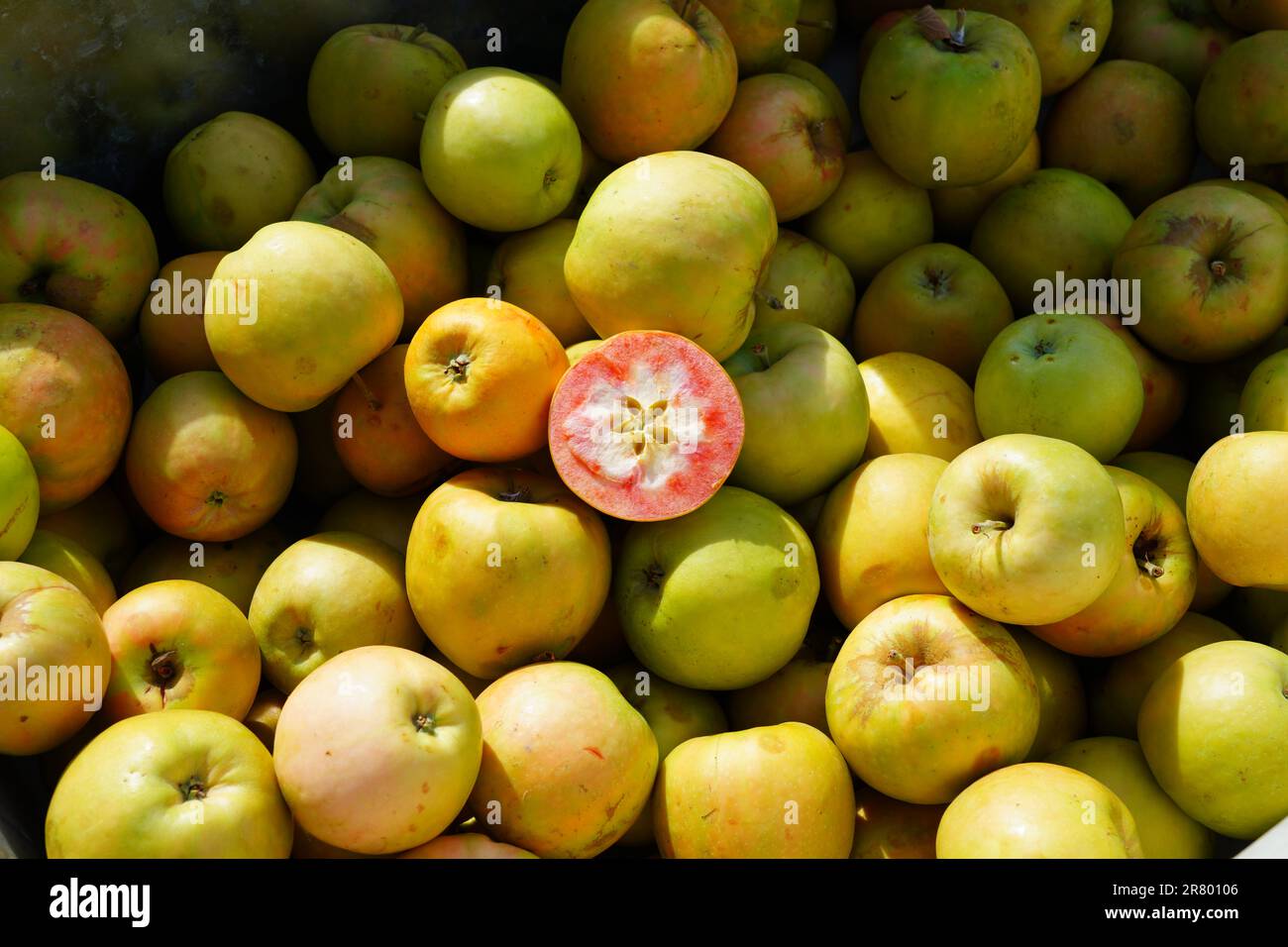 Rosa Punch mele con carne rosa in un mercato contadino Foto Stock