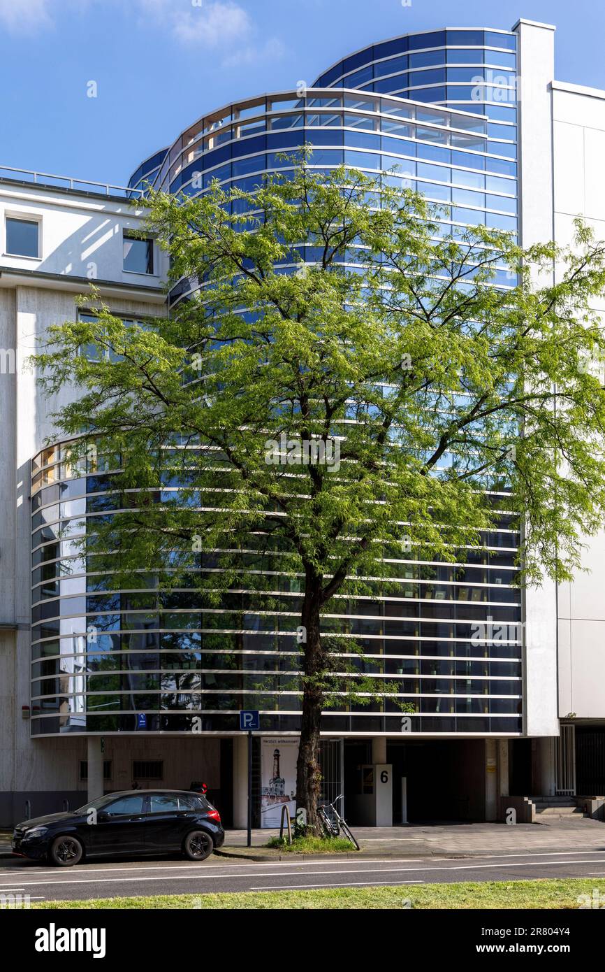 Albero di fronte ad un edificio di uffici in via Riehler, Colonia, Germania. Baum vor einem Buerogebaeude an der Riehler Strasse, Koeln, Deutschland. Foto Stock