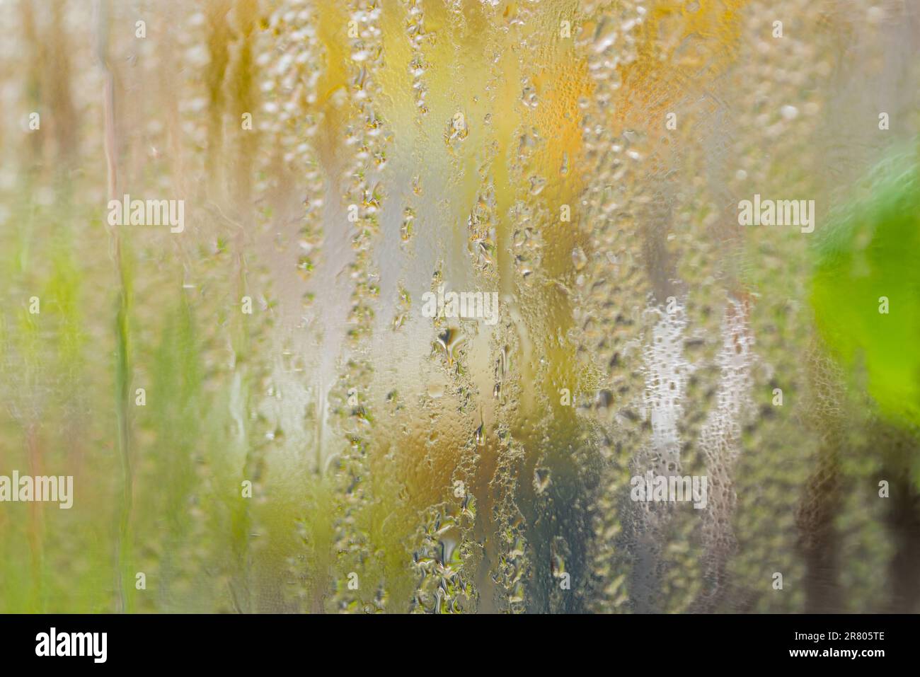 Gocce di pioggia sul vetro della finestra su sfondo verde sfocato Foto Stock