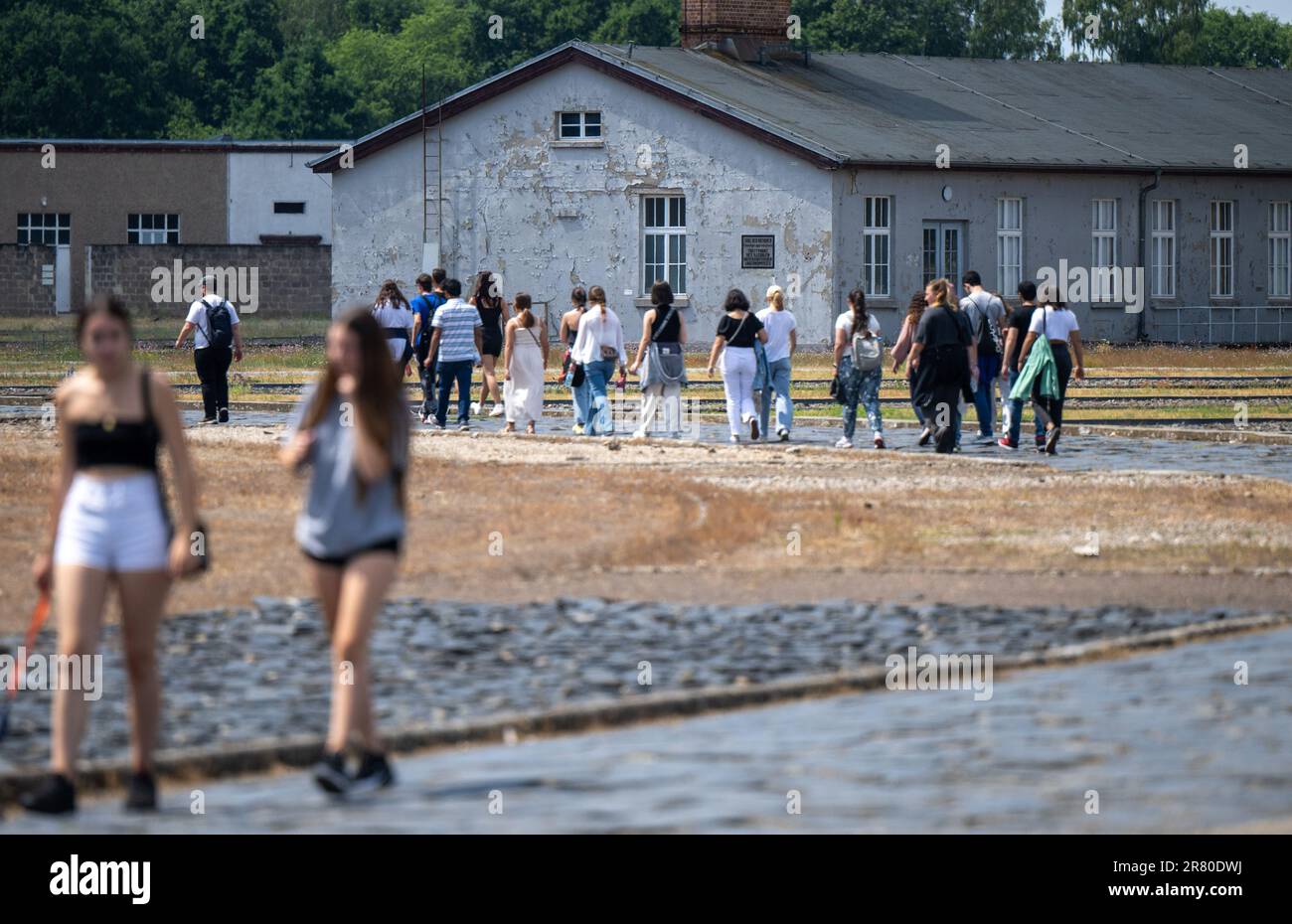 Oranienburg, Germania. 18th giugno, 2023. Gruppi di visitatori camminano attraverso i terreni dell'ex campo di concentramento di Sachsenhausen. Nel giugno del 1938, gli agenti di polizia criminali hanno deportato più di 10.000 persone nei campi di concentramento, dove sono state segnate con un angolo nero. La campagna di arresto a livello nazionale è stata diretta contro persone che i socialisti nazionali hanno definito "asociali”. Tra di loro c'erano senzatetto, alcolisti e persone con un record criminale per, tra l'altro, l'elemosina. Credit: Monika Skolimowska/dpa/Alamy Live News Foto Stock
