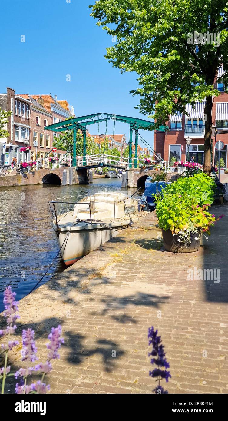 Vista panoramica del tradizionale ponte levatoio su un canale nella storica città di Leida, Olanda Foto Stock