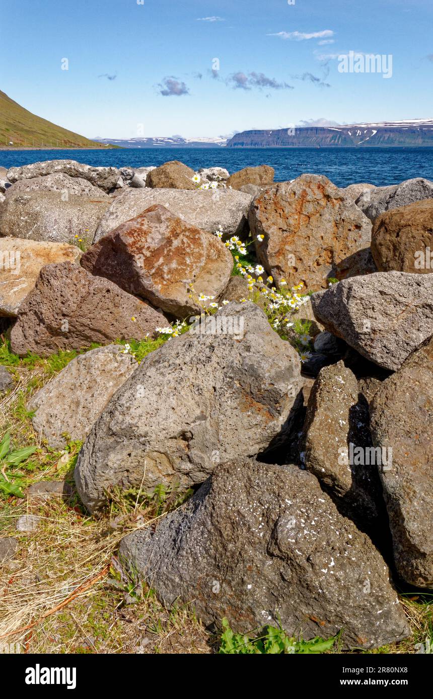 Bella vista e paesaggio del fiordo islandese che è villaggio circostante di Isafjordur nei Westfjords d'Islanda. Isafjordur, Fjord Isafjordur, Foto Stock