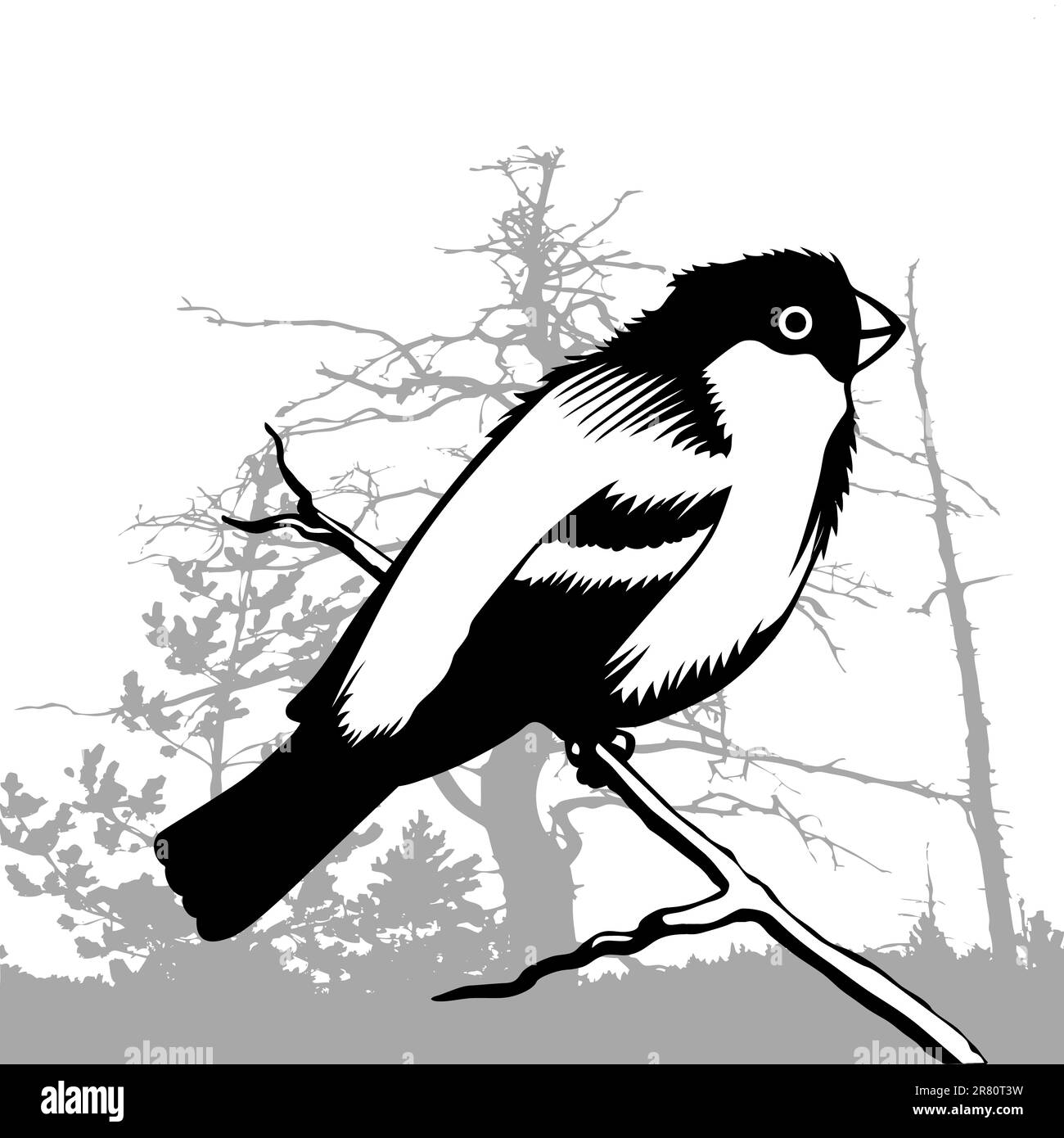 silhouette uccello su sfondo legno, illustrazione vettoriale Illustrazione Vettoriale