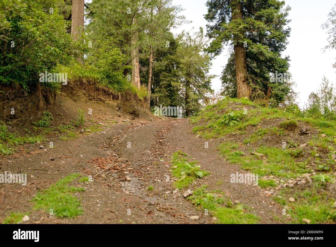 Un sentiero nelle montagne di Nathia Gali, Abbotabad, Pakistan. Foto Stock