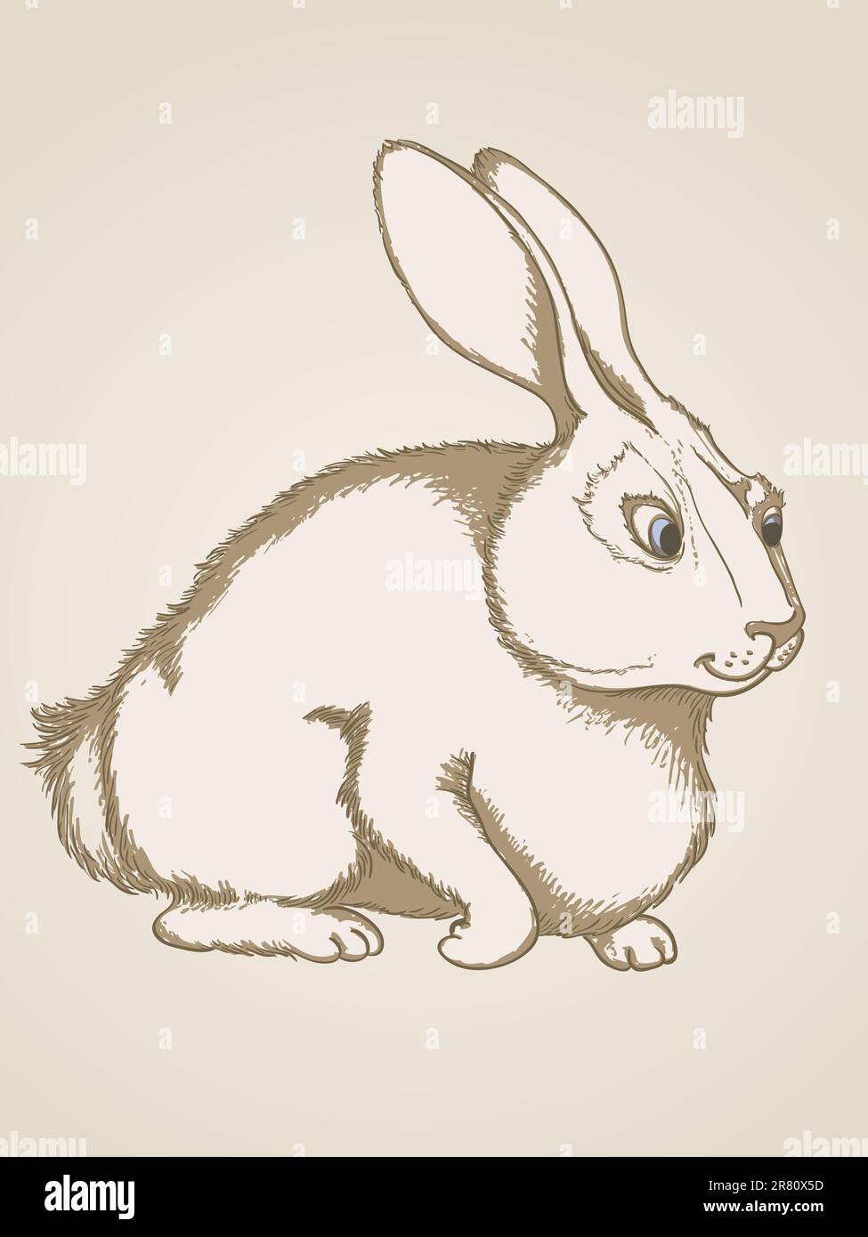 Vector vintage disegnati a mano il coniglio Illustrazione Vettoriale