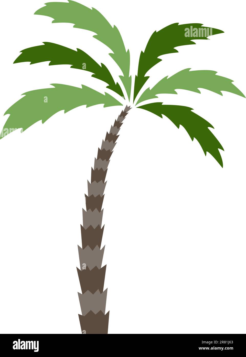 Immagine vettoriale grafica di una palma. Illustrazione Vettoriale