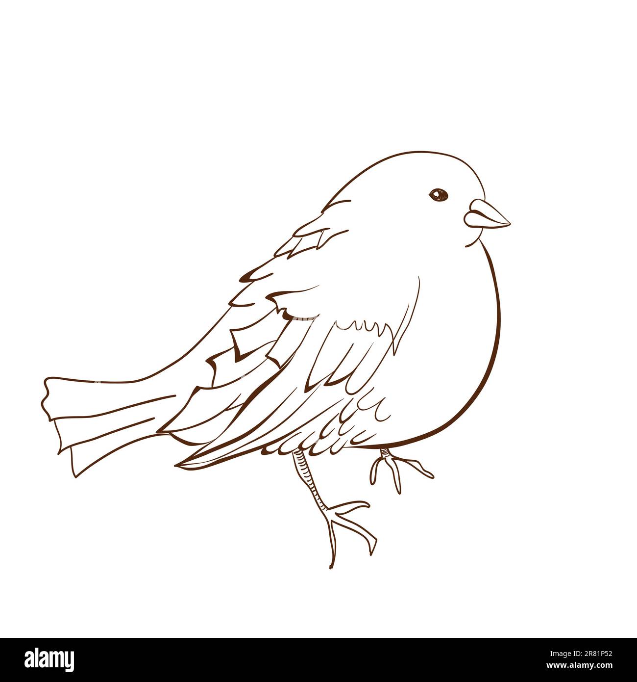 Illustrazione di uccello Illustrazione Vettoriale