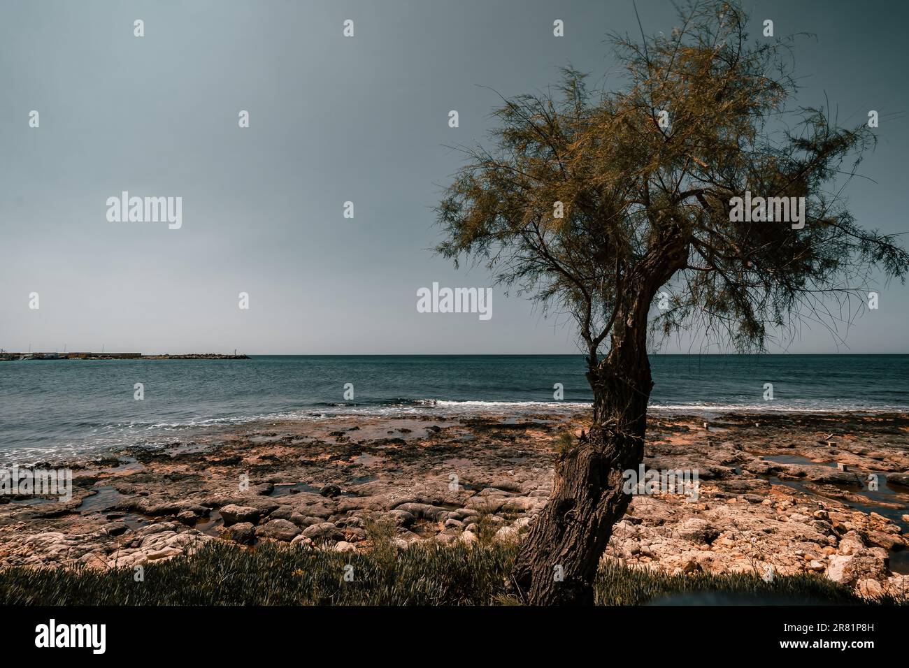 Torre vado in Puglia, una piccola perla sulle rive dello Ionio, Foto Stock