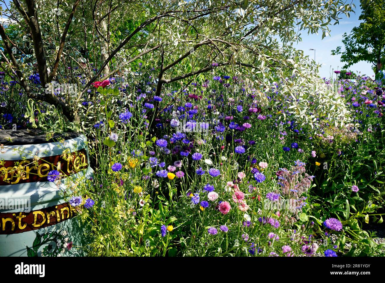 BBC Gardeners' World, NEC Birmingham Foto Stock