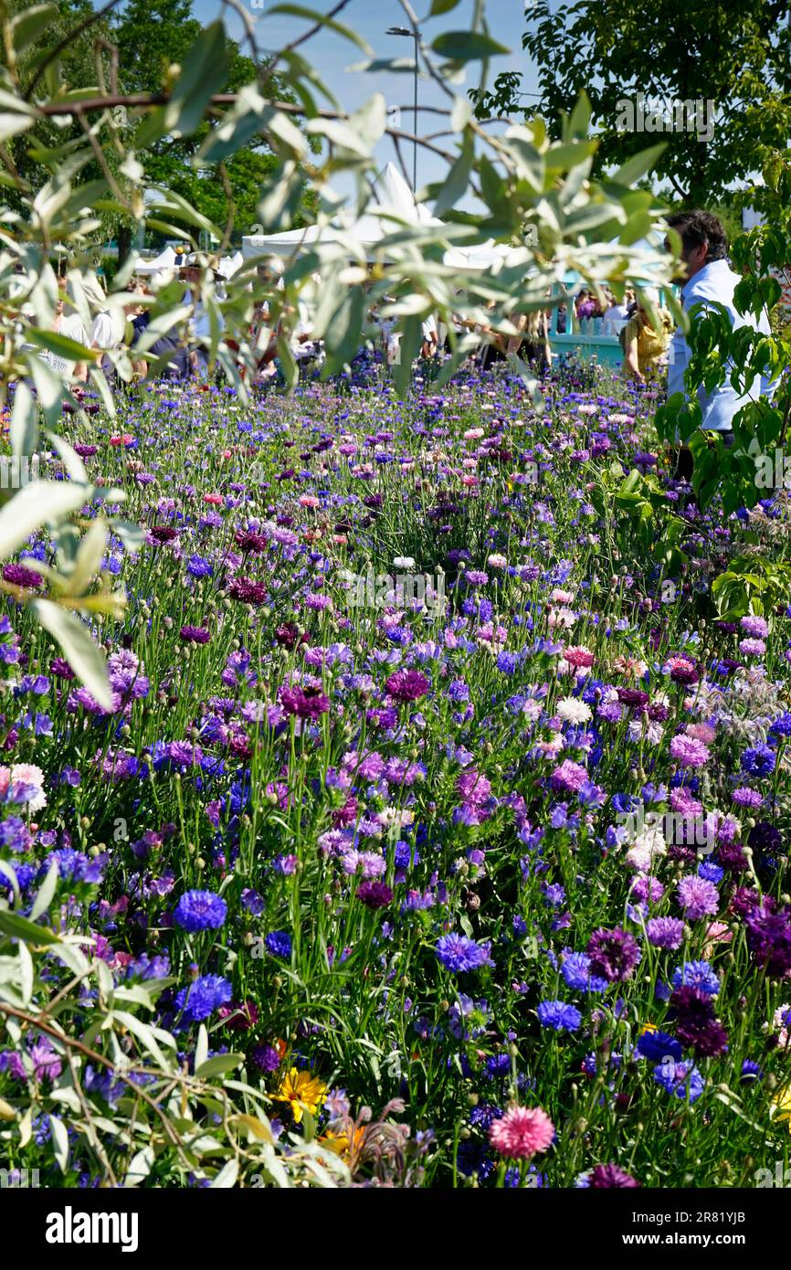 BBC Gardeners' World, NEC Birmingham Foto Stock