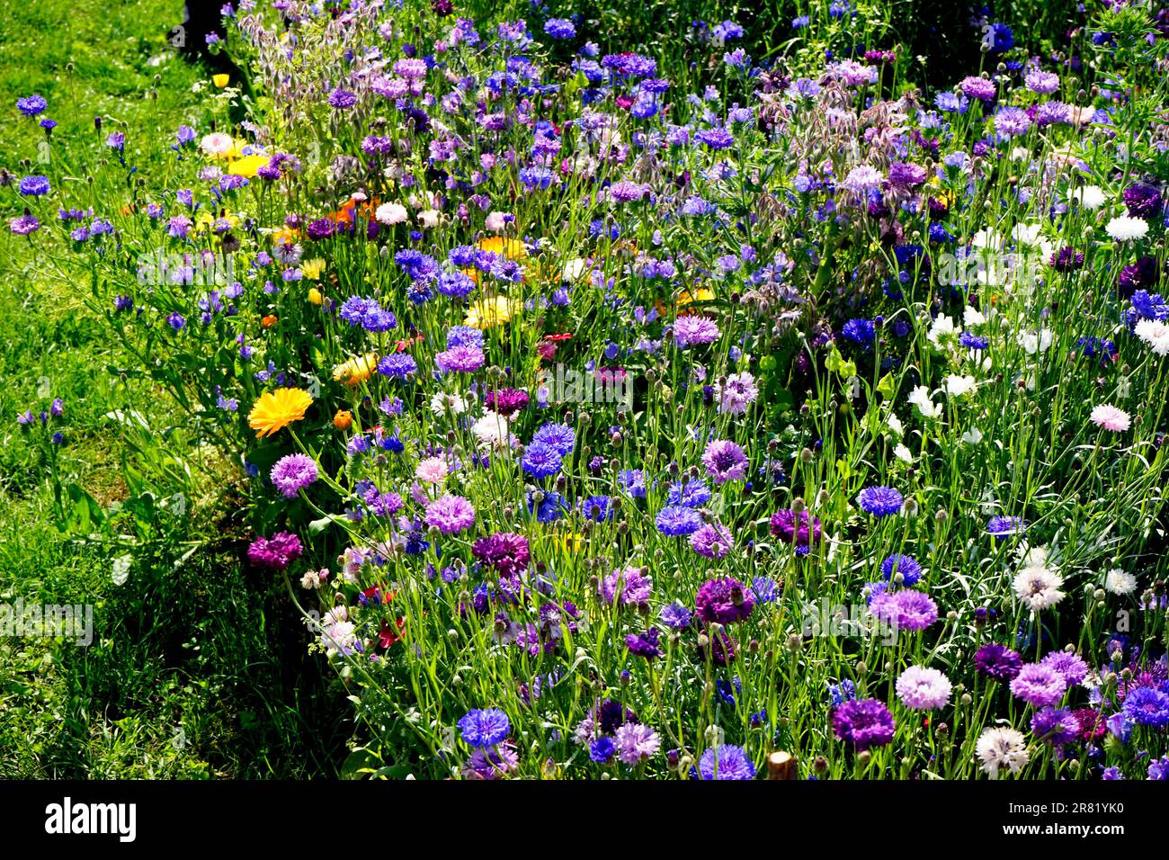 BBC Gardeners' World, NEC Birmingham Foto Stock