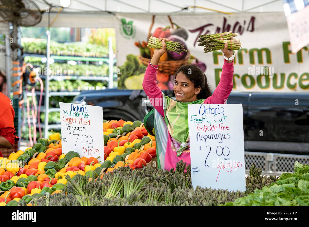 St Jacobs Farmers Market Fruit and Vegetable Vendors, Ontario, Canada Foto Stock