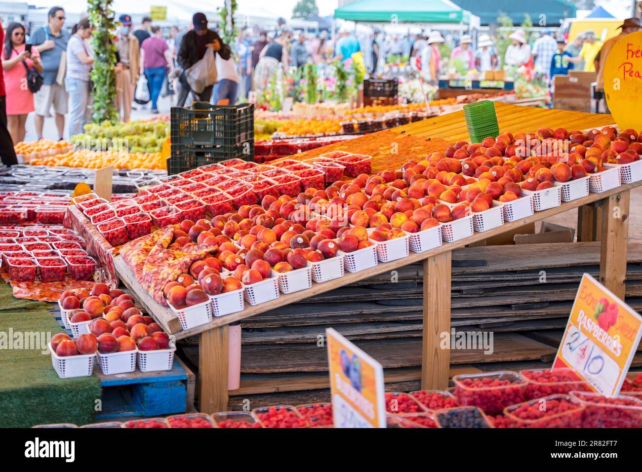 St Jacobs Farmers Market Fruit and Vegetable Vendors, Ontario, Canada Foto Stock