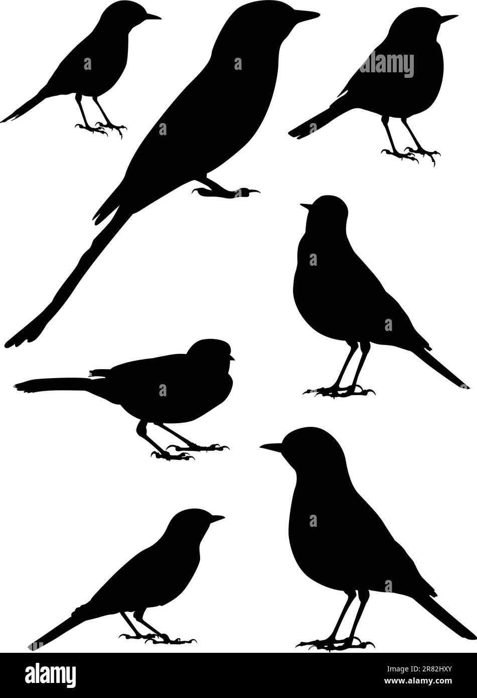 Birds silhouette - 7 diverse illustrazioni vettoriali Illustrazione Vettoriale