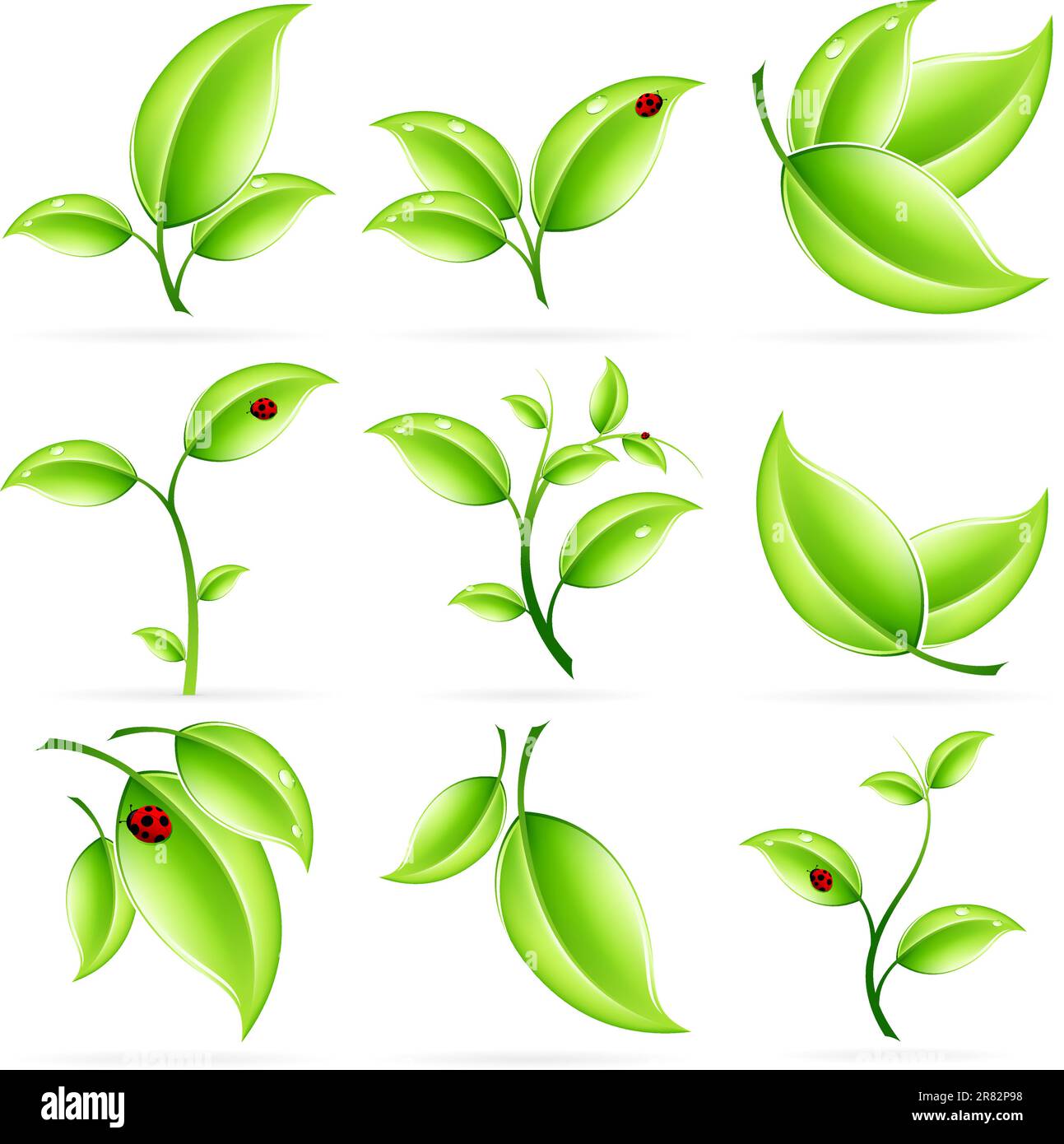 Fresche foglie verdi Icon Set isolato su bianco Illustrazione Vettoriale