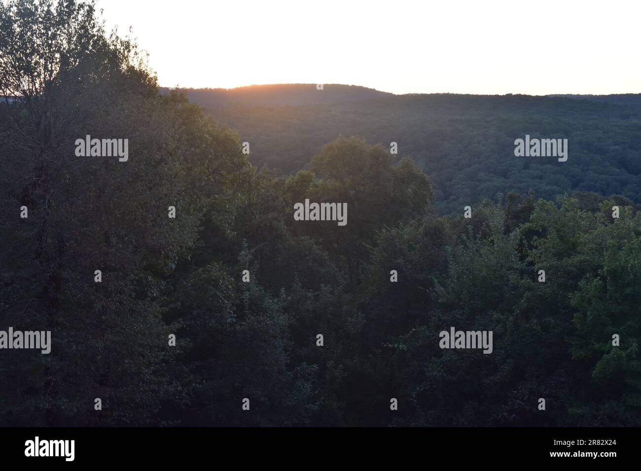Montagne dell'Arkansas boscose con il sole che comincia a tramontare dietro di loro. Foto Stock