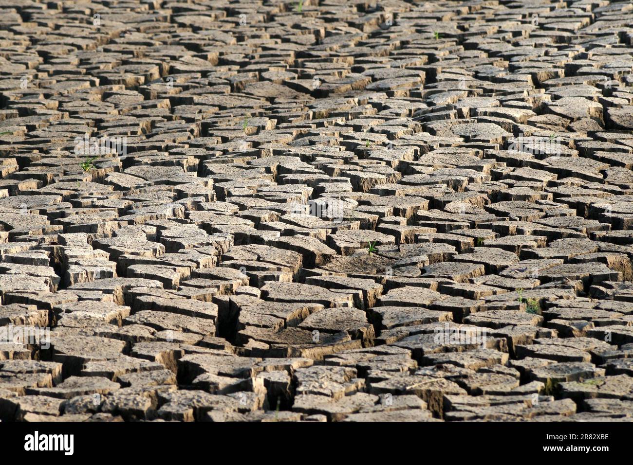 Asciutto terra incrinata come sfondo o texture Foto Stock