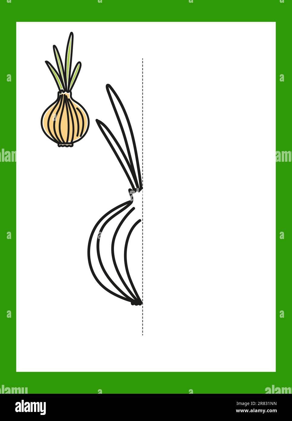 Disegnare un disegno. Verdure. Cipolla. Immagine vettoriale. Illustrazione Vettoriale