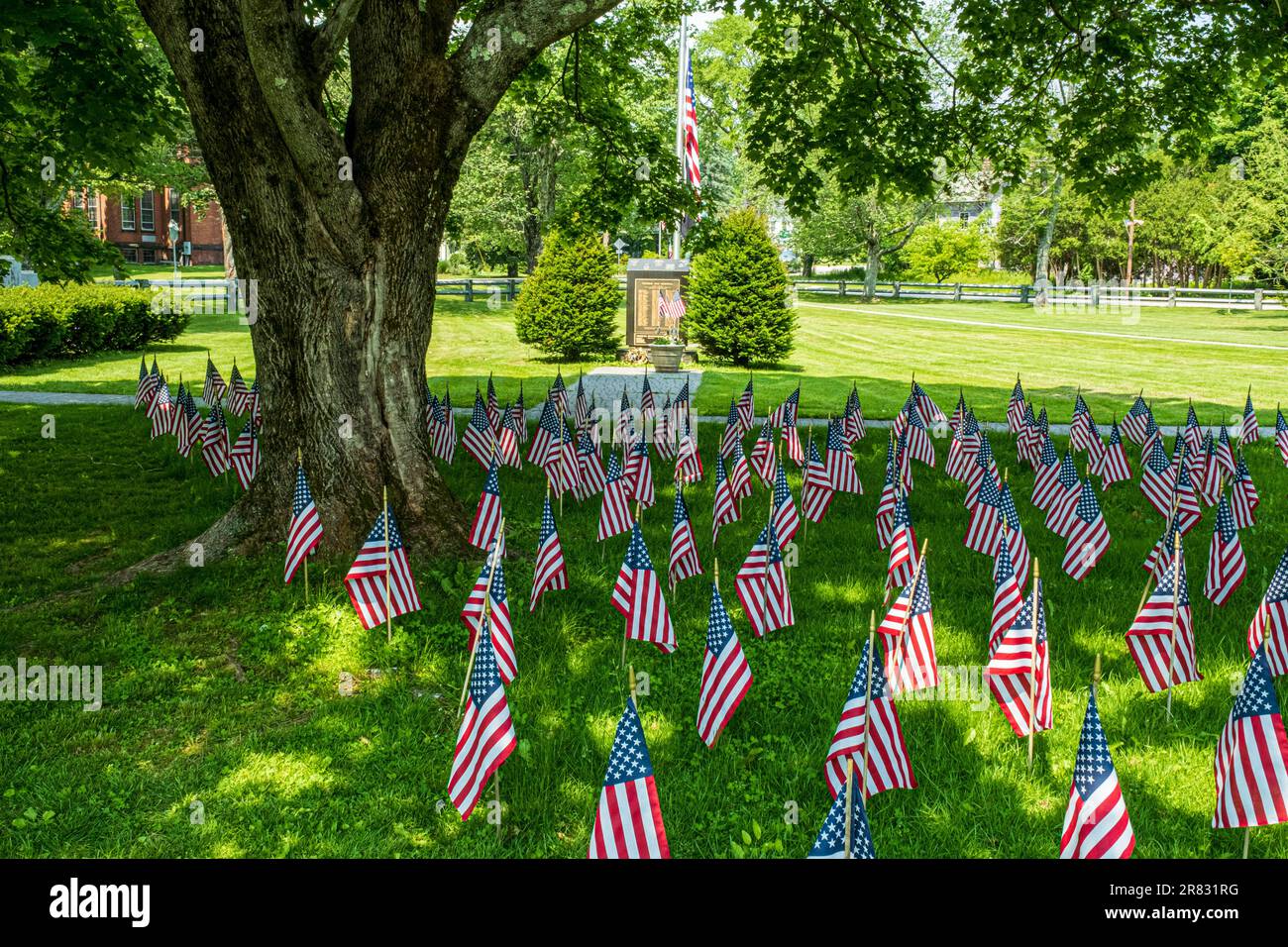Bandiere americane impostate sul comune di Città a barre per celebrare il Memorial Day Foto Stock