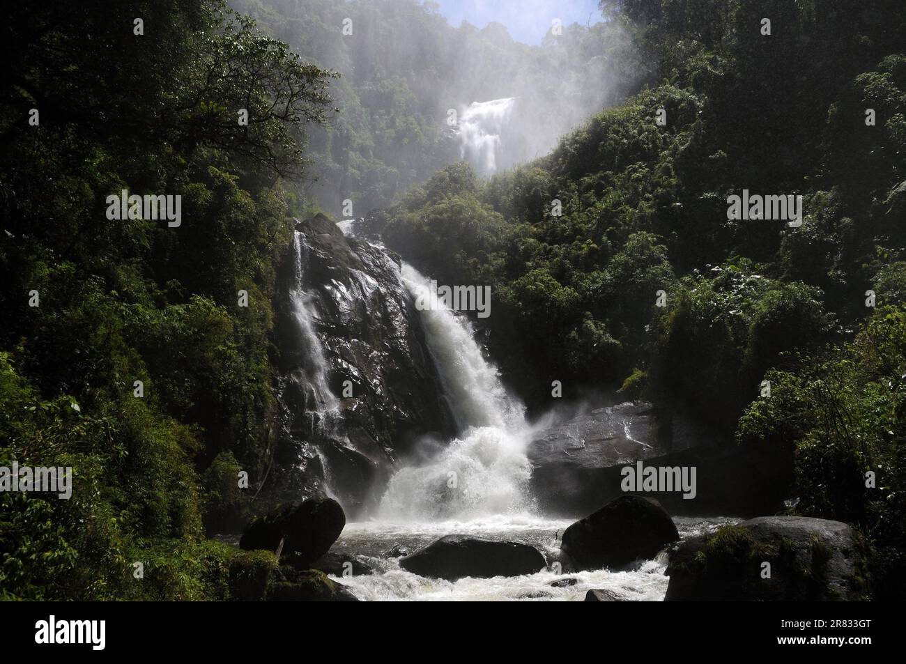 Cachoeira do Veado, situato nel Parco Nazionale della Serra da Bocaina, nello stato di São Paulo, Brasile. Foto Stock