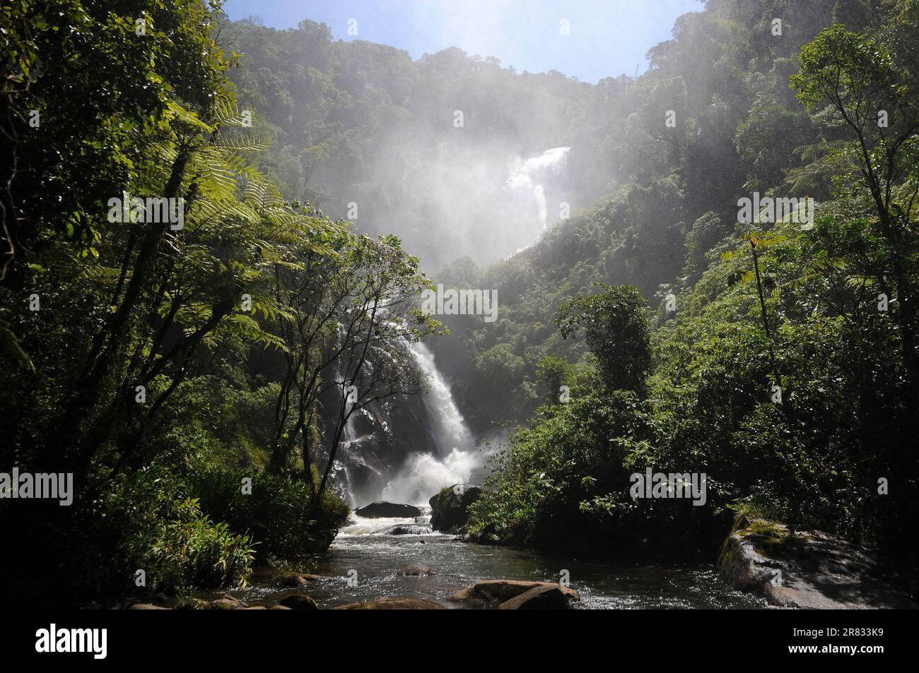 Cachoeira do Veado, situato nel Parco Nazionale della Serra da Bocaina, nello stato di São Paulo, Brasile. Foto Stock