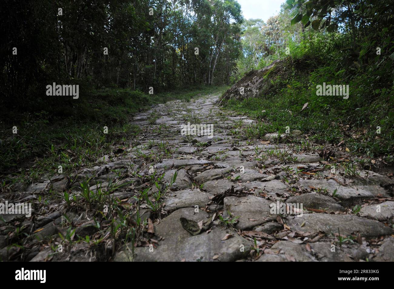 Gold Trail con il suo storico marciapiede fatto da schiavi nel XVIII secolo, situato nel Parco Nazionale della Serra da Bocaina, nello stato di São P. Foto Stock