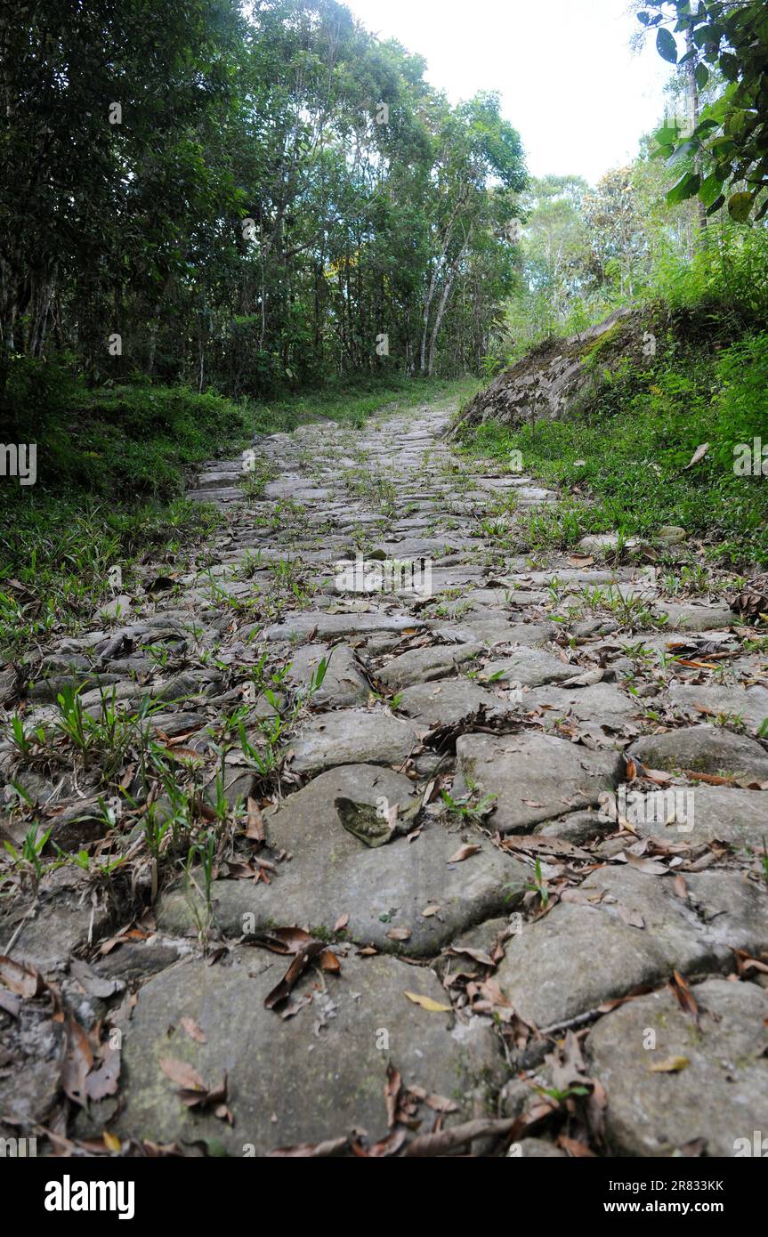 Gold Trail con il suo storico marciapiede fatto da schiavi nel XVIII secolo, situato nel Parco Nazionale della Serra da Bocaina, nello stato di São P. Foto Stock