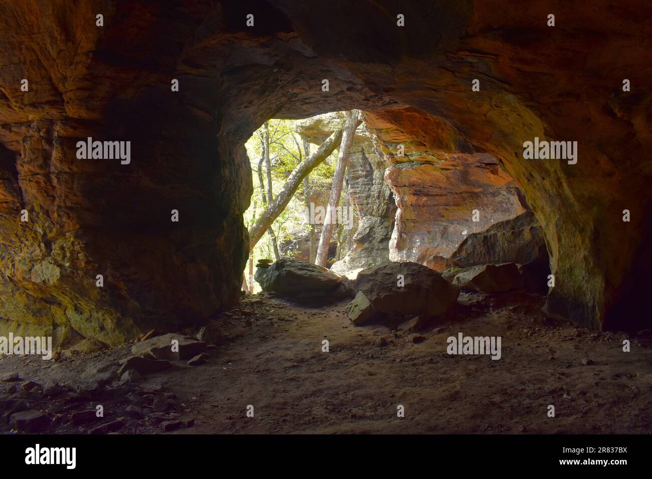 Guardando fuori di alcune delle aperture nelle grotte di Pediestal Rocks, Pelsor, Sand Gap, Witts Springs, Arkansas, Ozark-St Francis National Forest Foto Stock