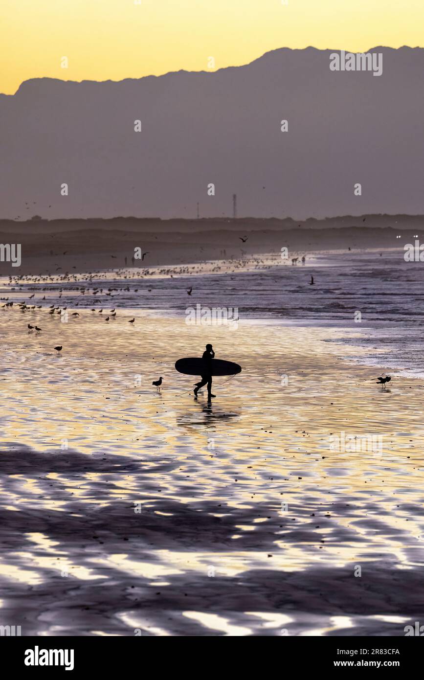 Surfista all'alba sulla spiaggia di Muizenberg vicino a Città del Capo, Sud Africa Foto Stock