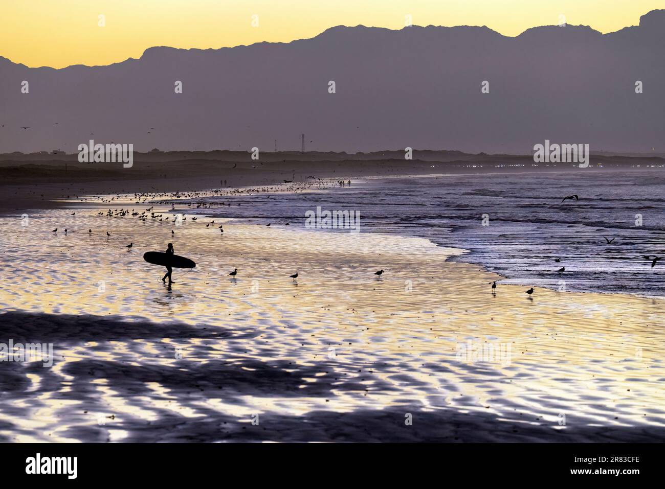 Surfista all'alba sulla spiaggia di Muizenberg vicino a Città del Capo, Sud Africa Foto Stock