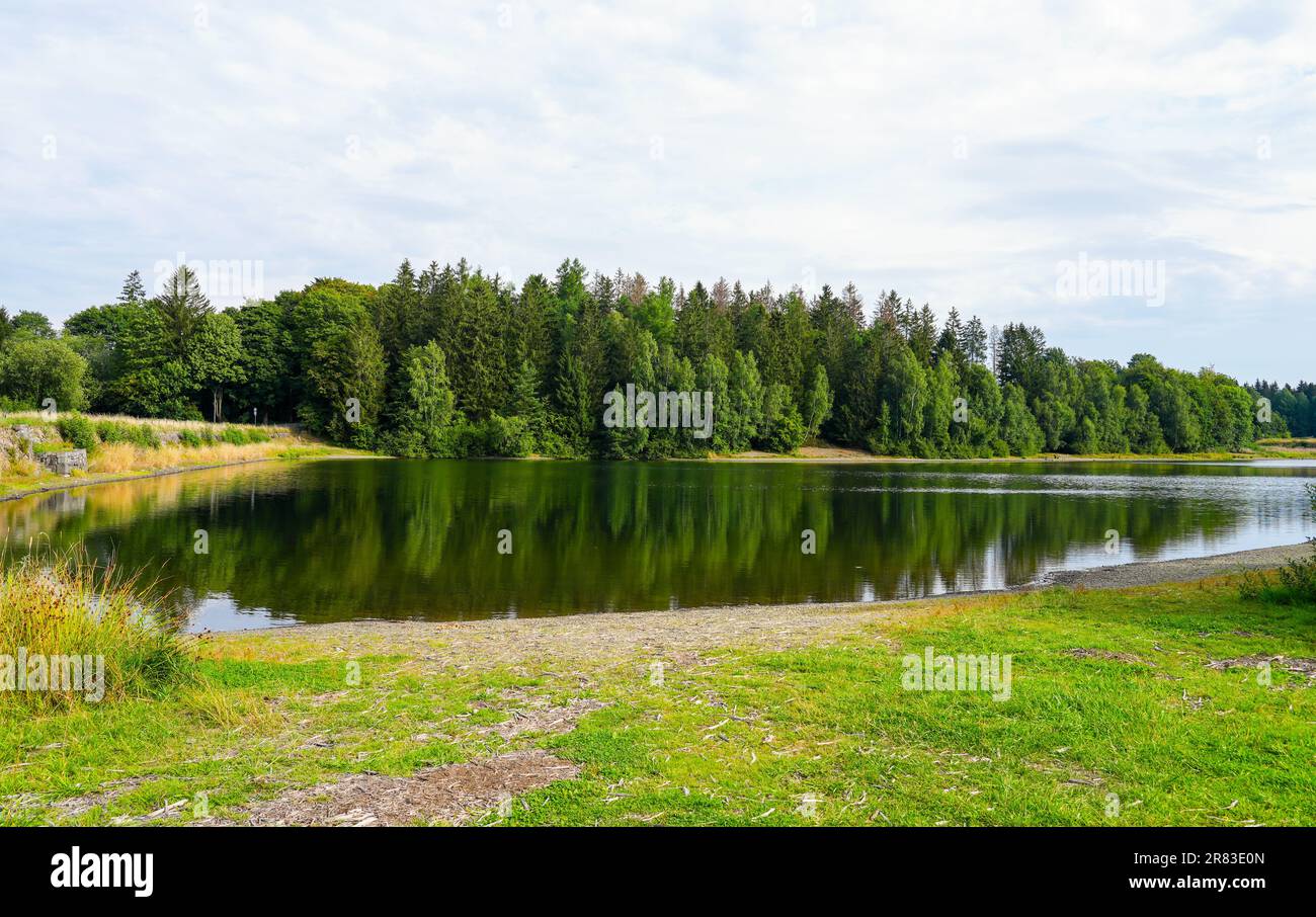 Paesaggio all'Unterer Haus-Herzberger Teich. Natura al lago vicino a Clausthal-Zellerfeld nel Parco Nazionale di Harz. Ex stagno minerario. Foto Stock