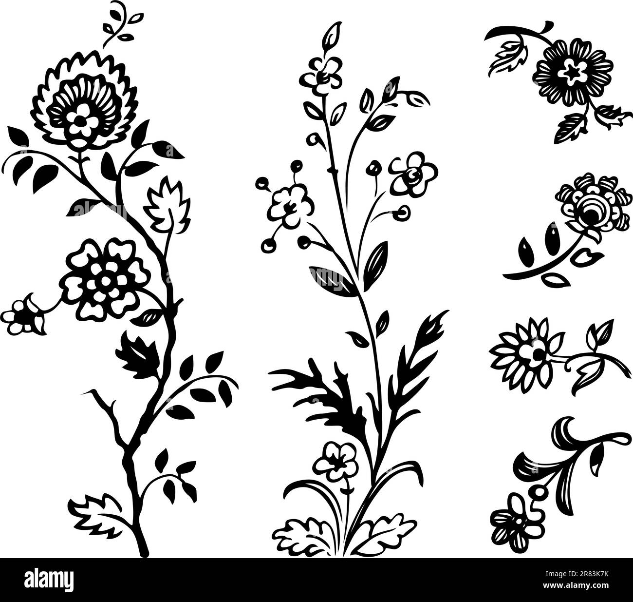 Elementi floreali decorativi su sfondo bianco Illustrazione Vettoriale