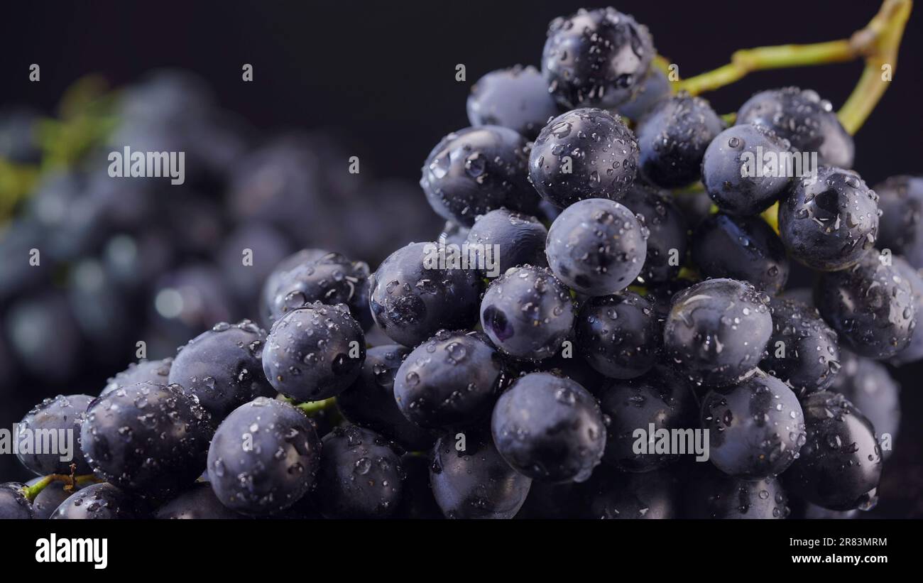 Mazzo di uve fresche e succose con gocce d'acqua, Clode up Foto Stock