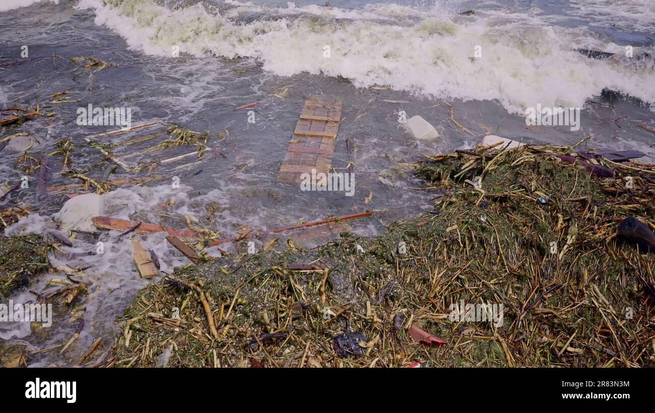 Un primo piano di detriti galleggianti ha raggiunto le spiagge del Mar Nero a Odessa, Ucraina. Disastro ambientale causato dall'esplosione di Kakhovka idroelettrica Foto Stock
