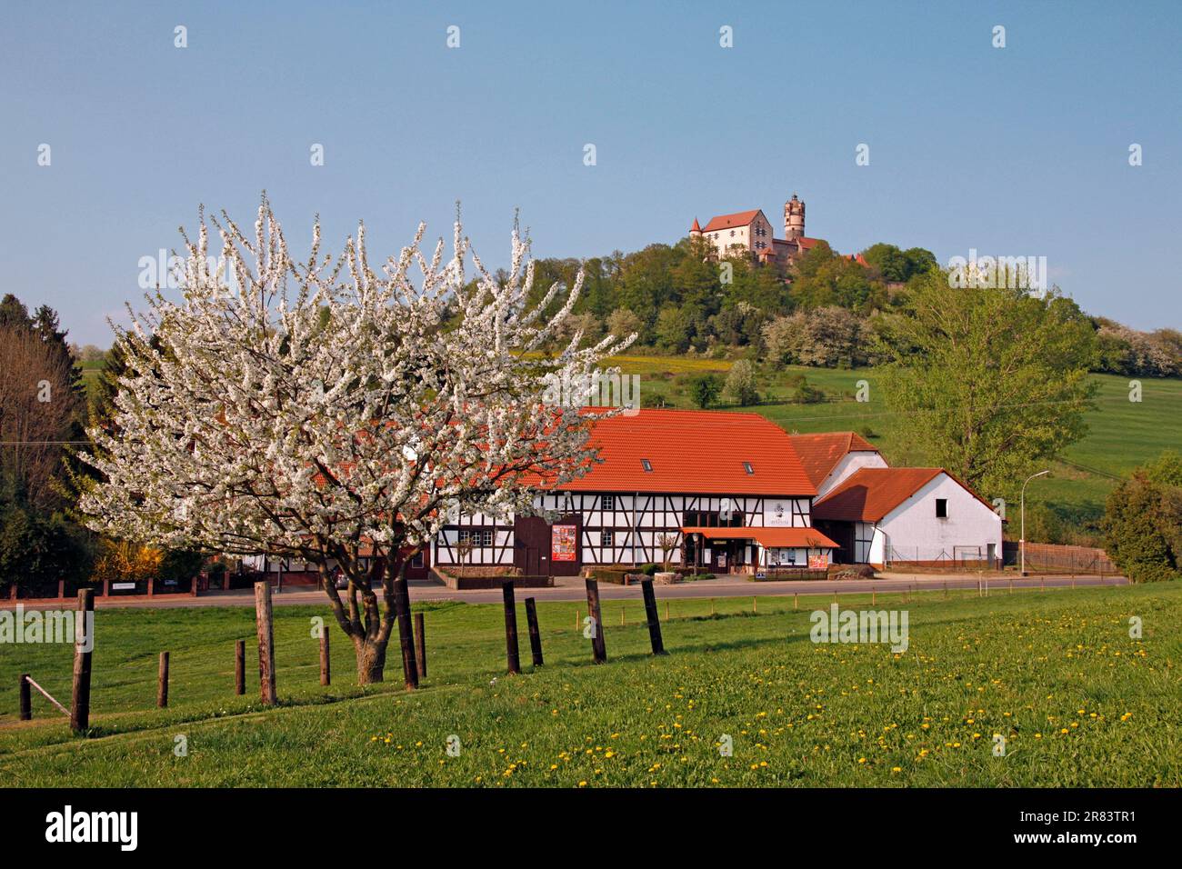 Fattoria di fronte al Castello di Ronneburg, Ronneburg, Assia, Germania Foto Stock