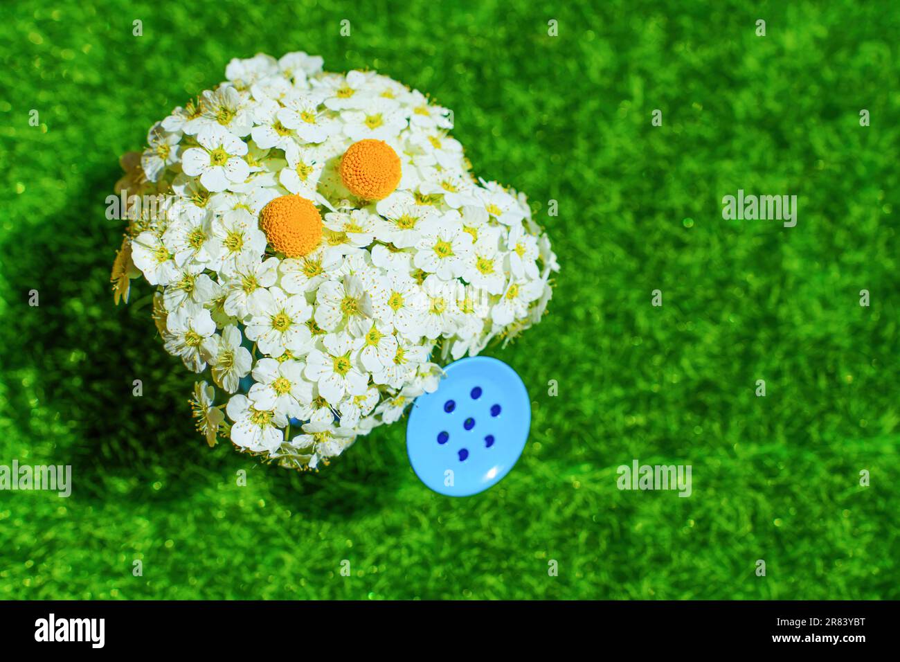 Carino fiore carattere fatto da un lussureggiante bouquet di Spiraea Vanhouttei albero fiori e una miniatura blu annaffiatura può, adagiato contro un prato verde vibrante Foto Stock