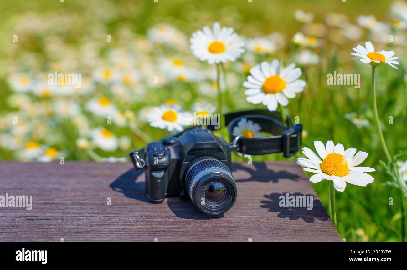 Videocamera giocattolo in miniatura posizionata su un tavolo di legno sullo sfondo di margherite in fiore. Vedere il mondo attraverso la lente della propria creatività. Foto Stock