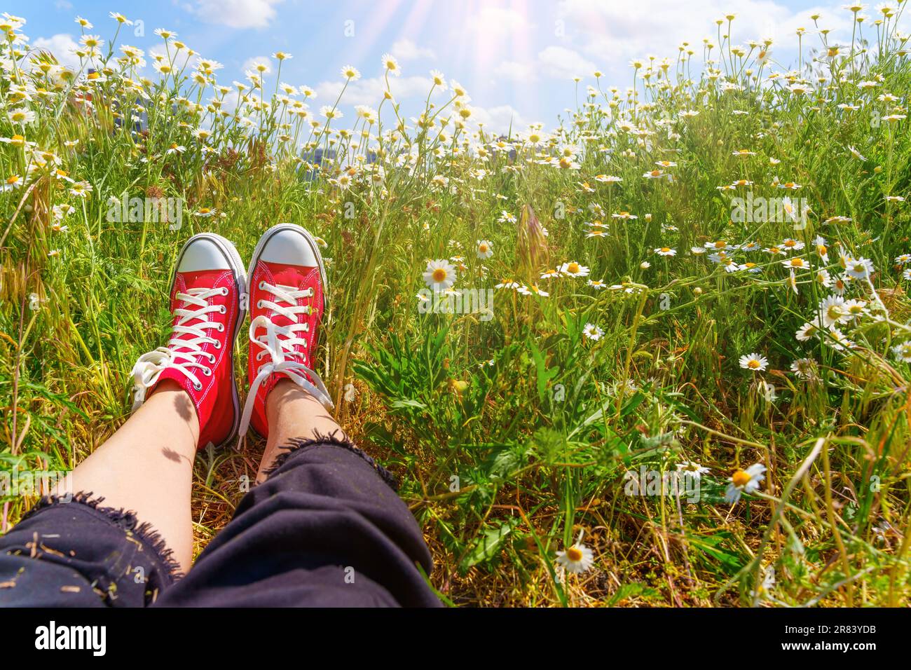 Crogiolandosi nel calore dei dolci raggi del sole, un paio di piedi adornati da sneaker in tela rossa riposano in un pittoresco campo di margherite, con un pictu Foto Stock