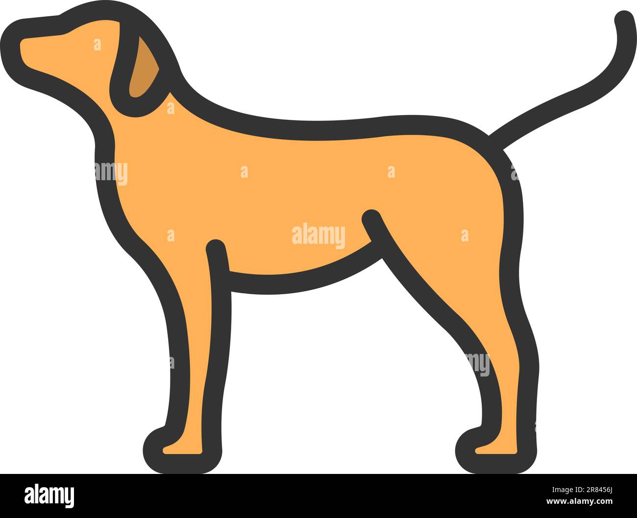 Immagine vettoriale icona PET. Illustrazione Vettoriale