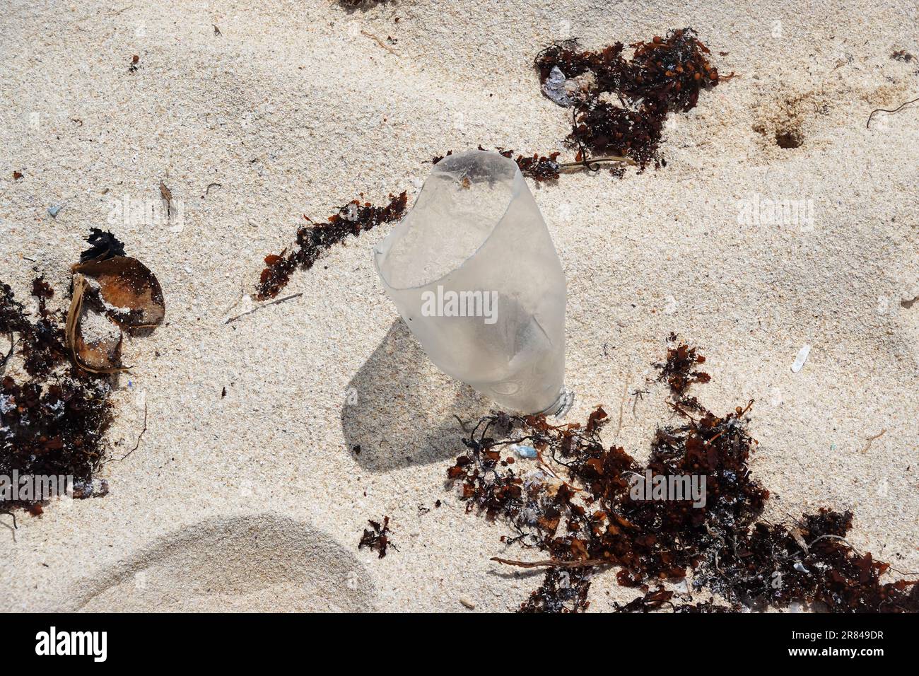 Rifiuti di plastica, spiaggia di Mauritius Foto Stock