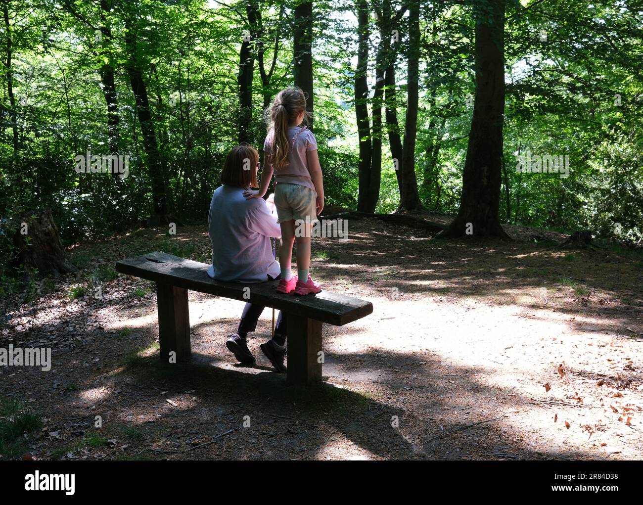 Luce soffusa che risplende su donna e bambino nella radura boschiva, Inghilterra, regno unito. Boschi tranquilli Gran Bretagna Regno Unito. la luce del sole splende Foto Stock