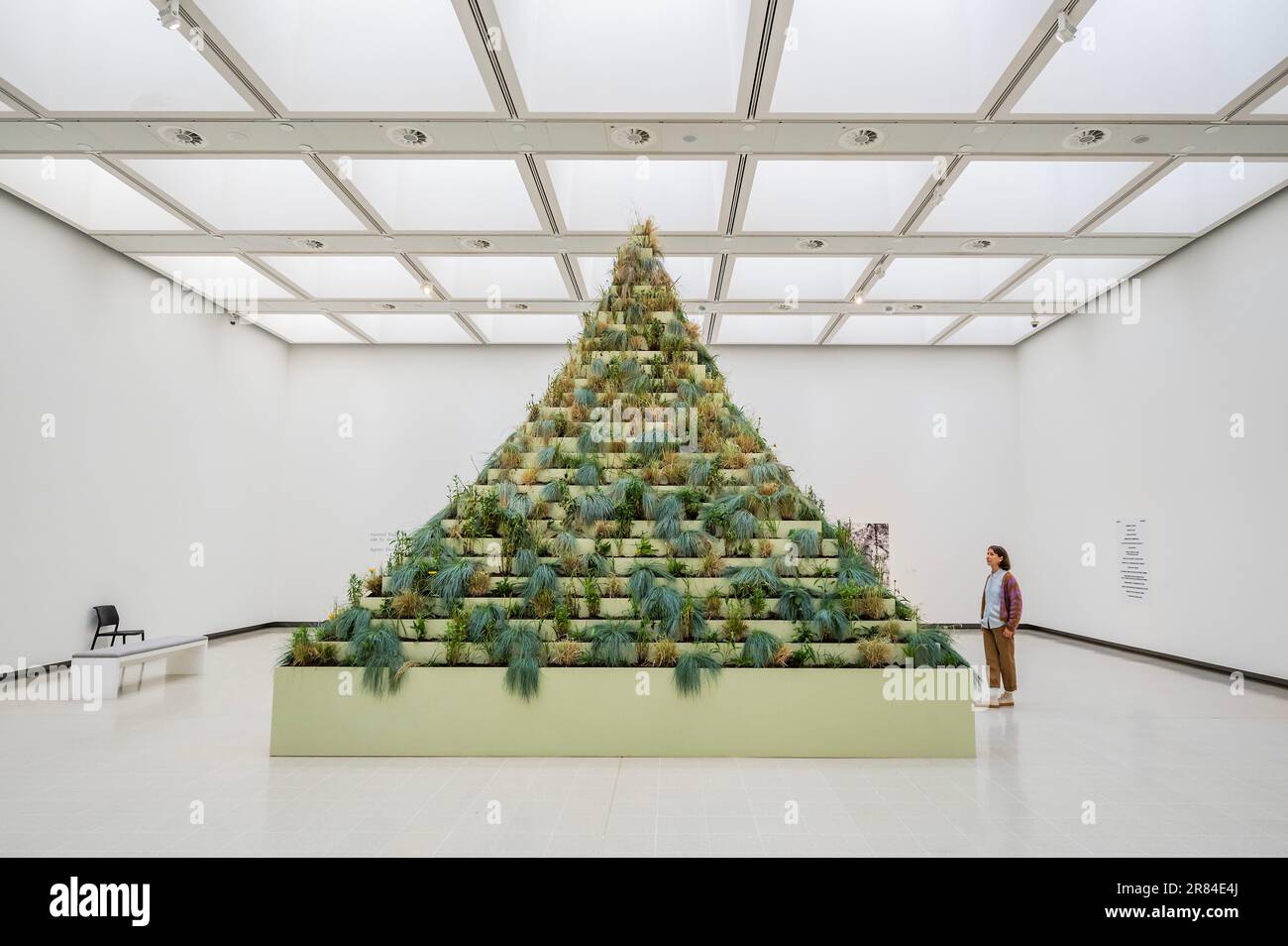 Londra, Regno Unito. 19th giugno, 2023. La Piramide vivente di Agnes Denes - Cara Earth: Arte e speranza in un tempo di crisi alla Hayward Gallery. Questa mostra di gruppo tematicamente pionieristica esplora come gli artisti internazionali contemporanei stanno contribuendo a rifrangere le nostre risposte alla crisi climatica attraverso nozioni di cura, speranza e compassione per il nostro pianeta. Credit: Guy Bell/Alamy Live News Foto Stock