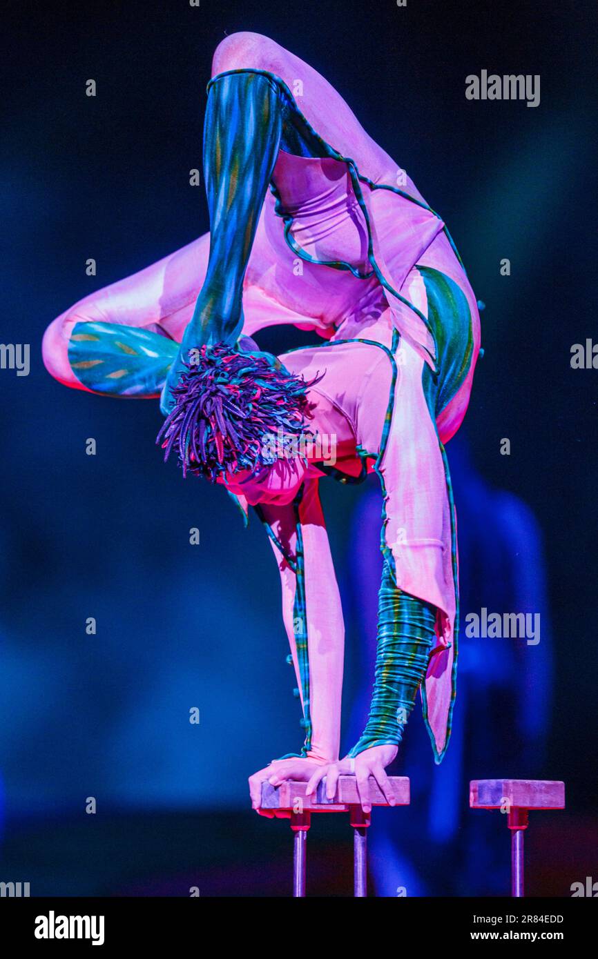 Ariunsanaa Bataa, contorsionista, che si esibisce nel Cirque Du Soleil's Saltimbanco, Vector Arena, Auckland, Nuova Zelanda, giovedì, Agosto 25, 2011. Foto Stock