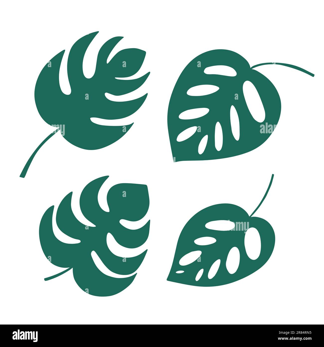 Tipi diversi monstera foglie Illustrazione Vettoriale