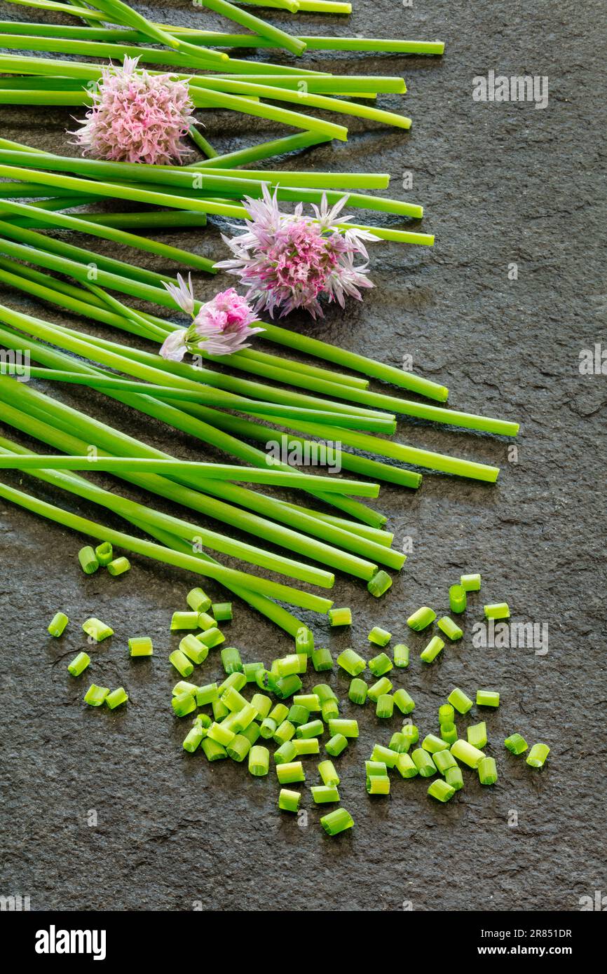 Erba cipollina serie n. 6. Allium Schoenoprasum Foto Stock