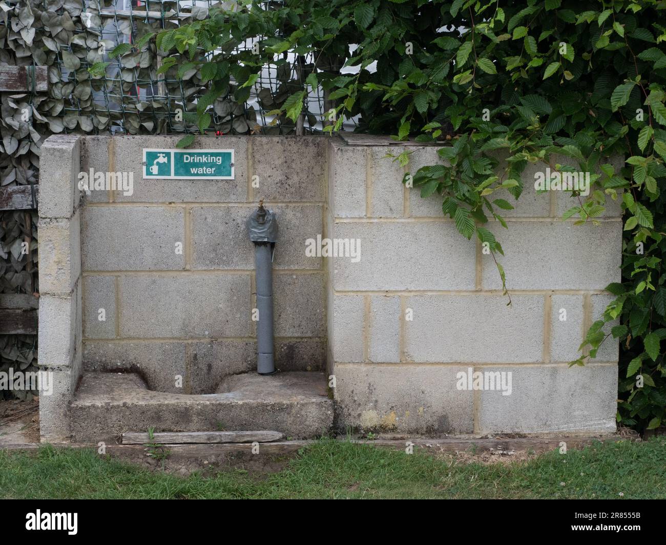 OLYMPUS FOTOCAMERA DIGITALE Foto Stock